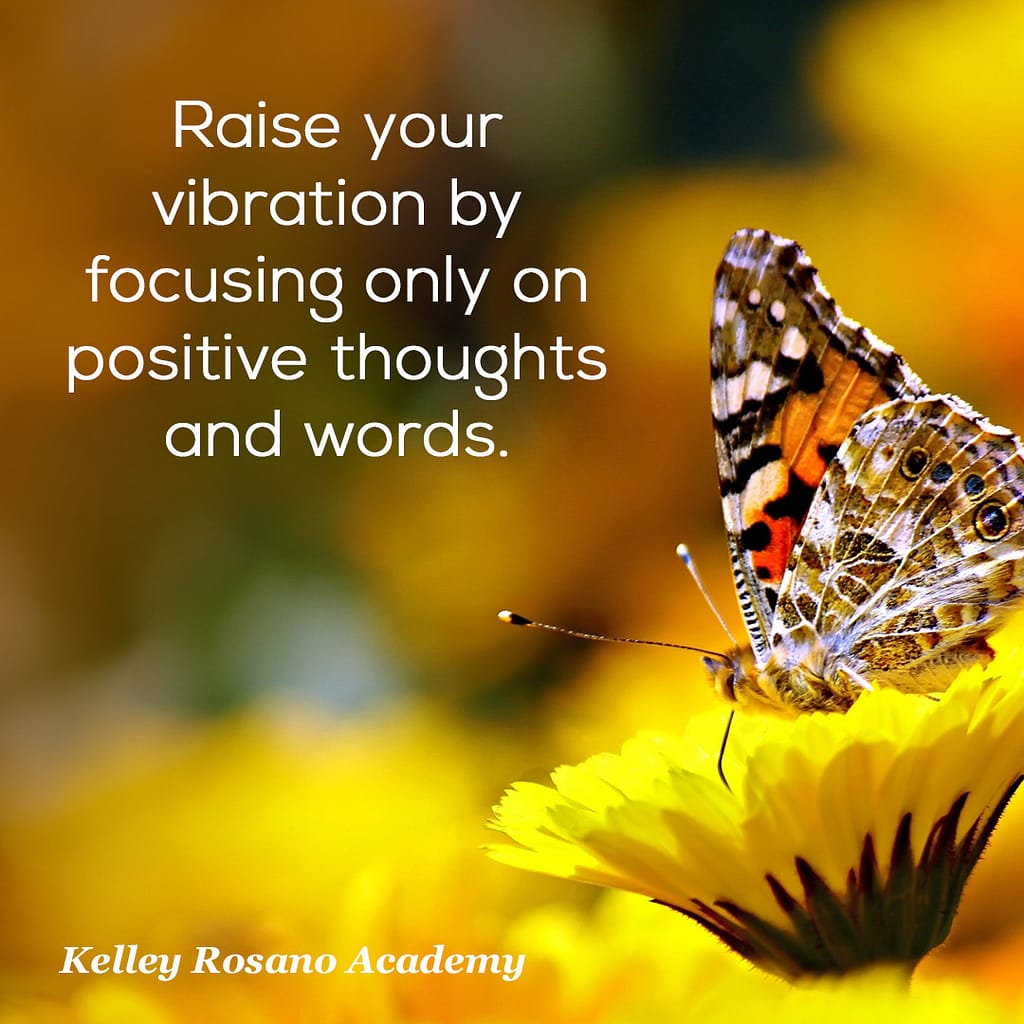 Butterfly on yellow flower with inspirational quote