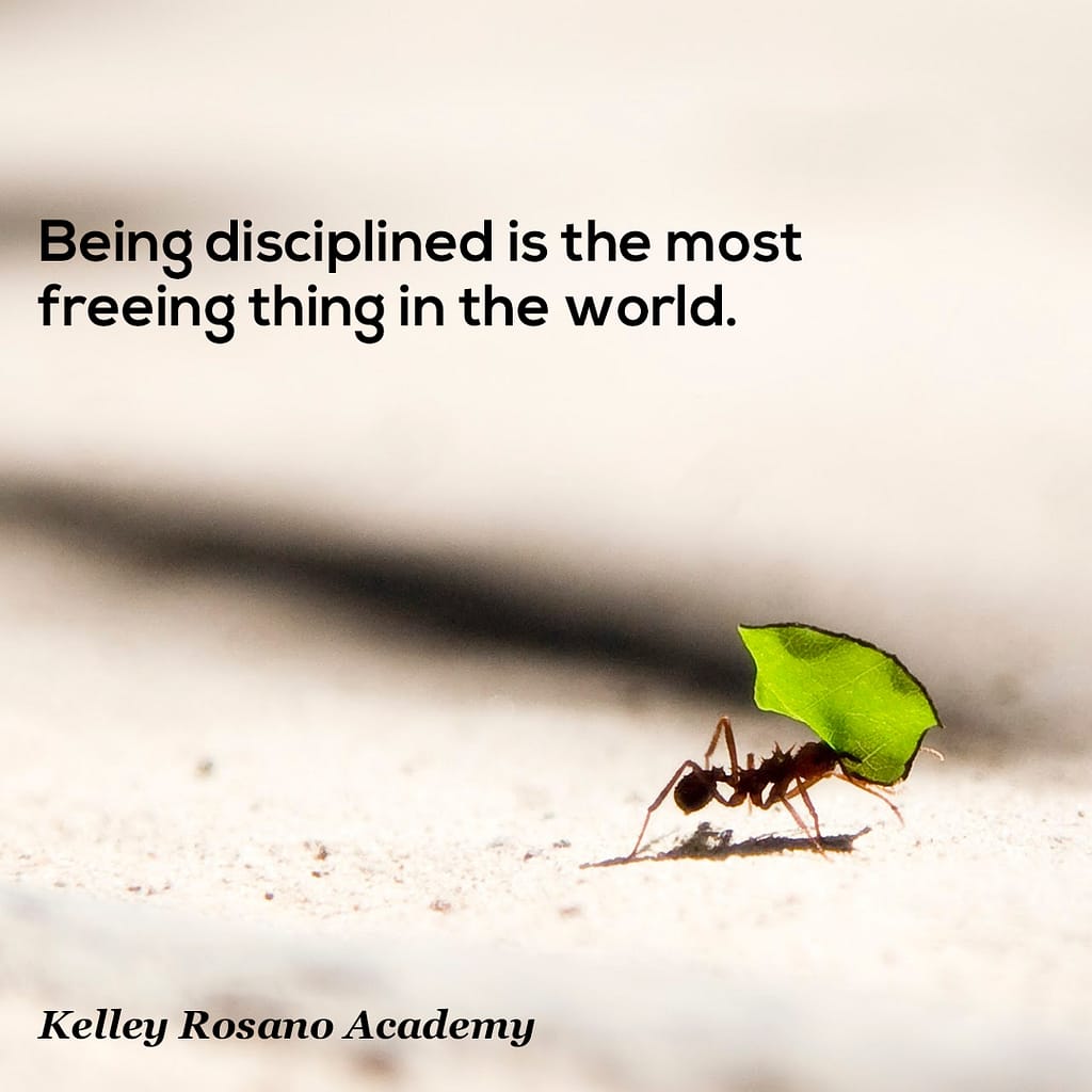 Ant carrying leaf with motivational quote