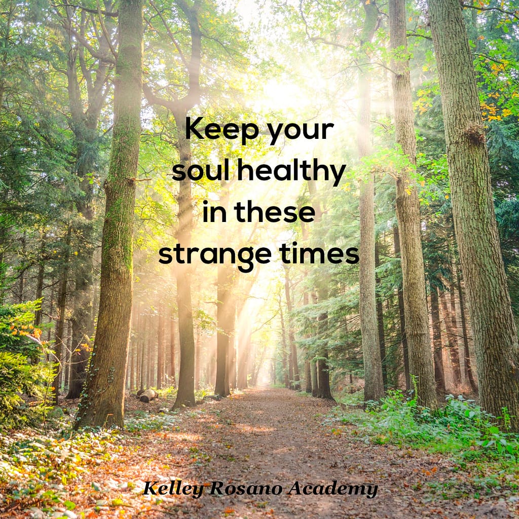 Sunlit forest path with inspirational text overlay