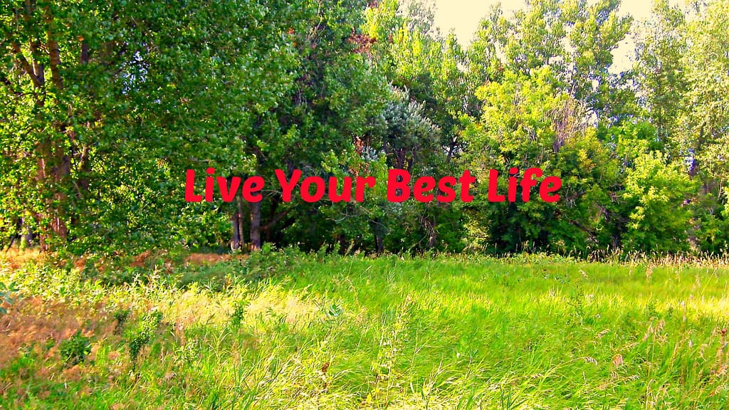 Meadow with trees and "Live Your Best Life