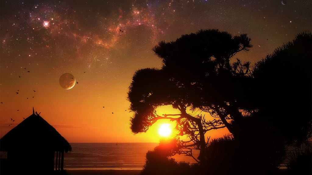 Cosmic sunset over ocean with silhouetted tree
