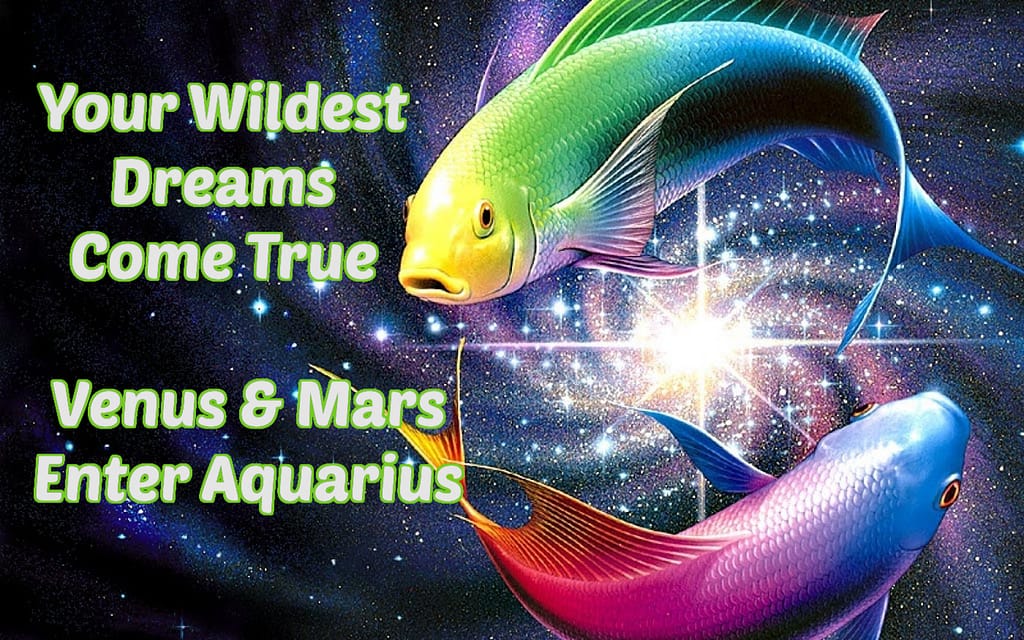 Two colorful fish in cosmic astrology artwork