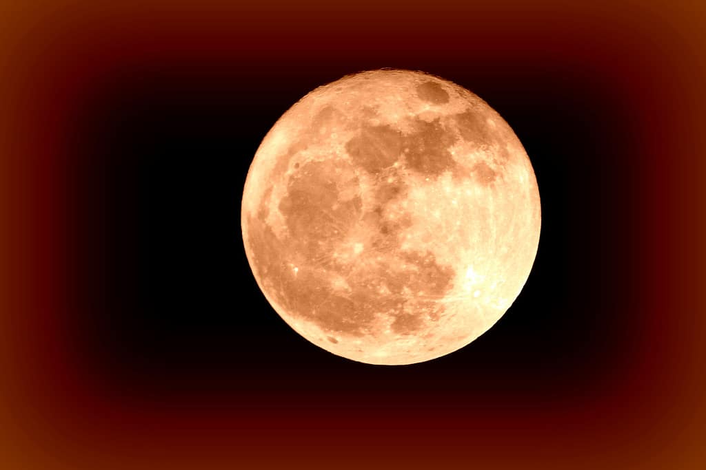 Orange full moon against dark sky