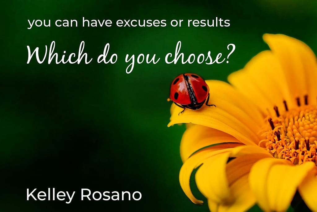 Ladybug on yellow flower with inspirational quote