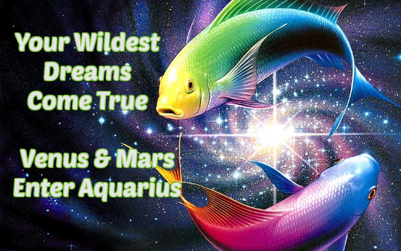Two colorful fish in cosmic astrology artwork