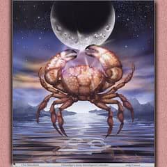 Surreal crab beneath moon over reflective water