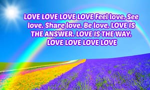 Rainbow over lavender field with LOVE text