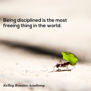 Ant carrying leaf with motivational quote