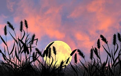 Capricorn Full Moon