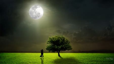Silhouetted couple under full moon beside tree