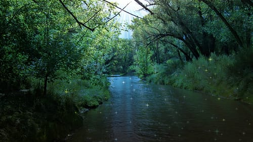 fairy on river