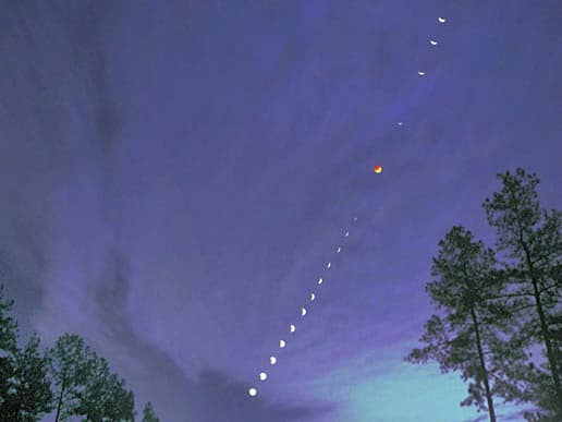 Lunar eclipse sequence over silhouetted trees