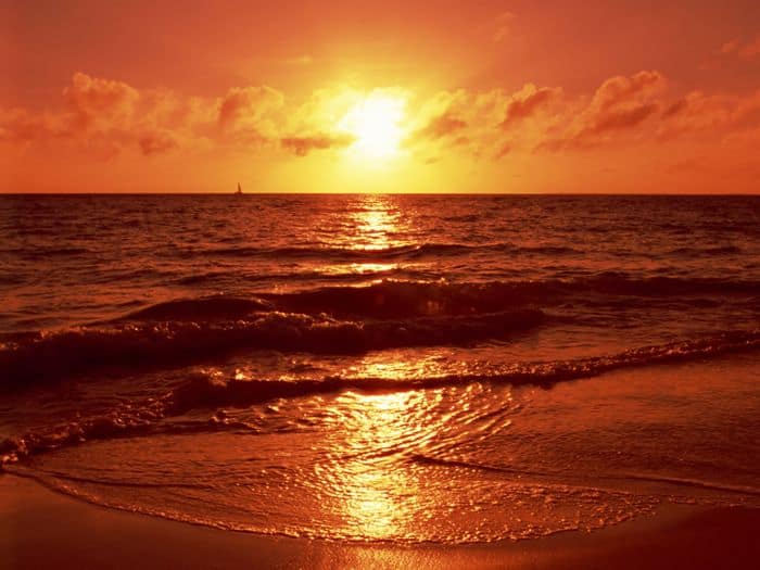 Golden sunset over ocean with sailboat silhouette