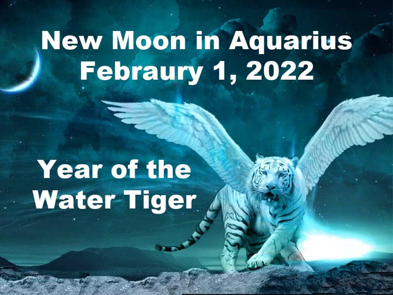 Winged white tiger beneath new moon