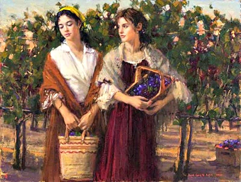 Two women harvesting grapes in a vineyard